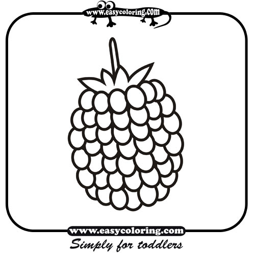 Raspberry - Easy coloring fruits Raspberry - Easy coloring fruits
